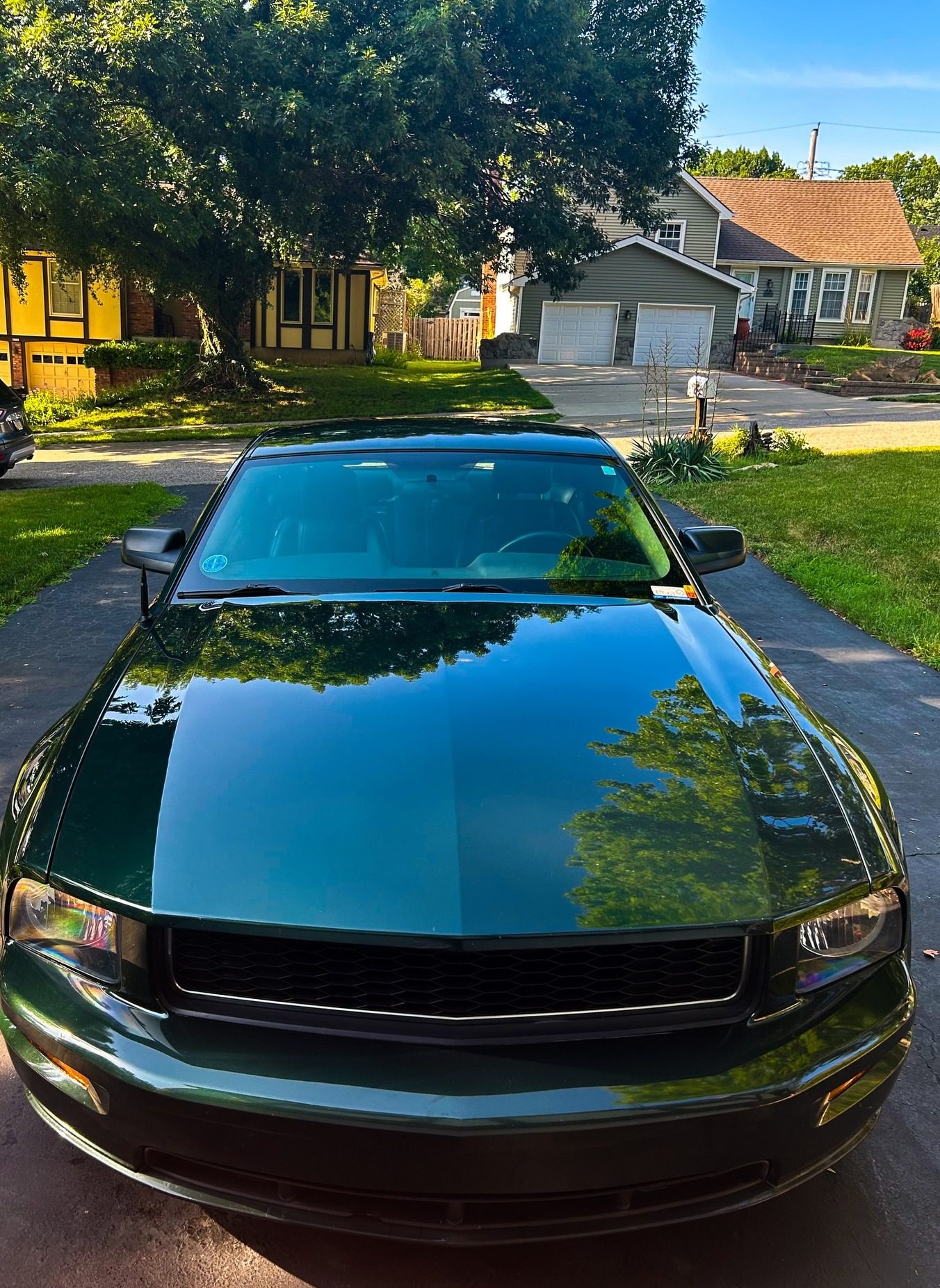 Detailed Ford Mustang Bullitt reflecting trees in its hood